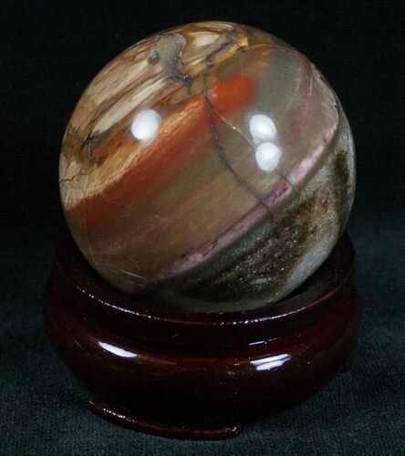 Colorful Petrified Wood Sphere #6794